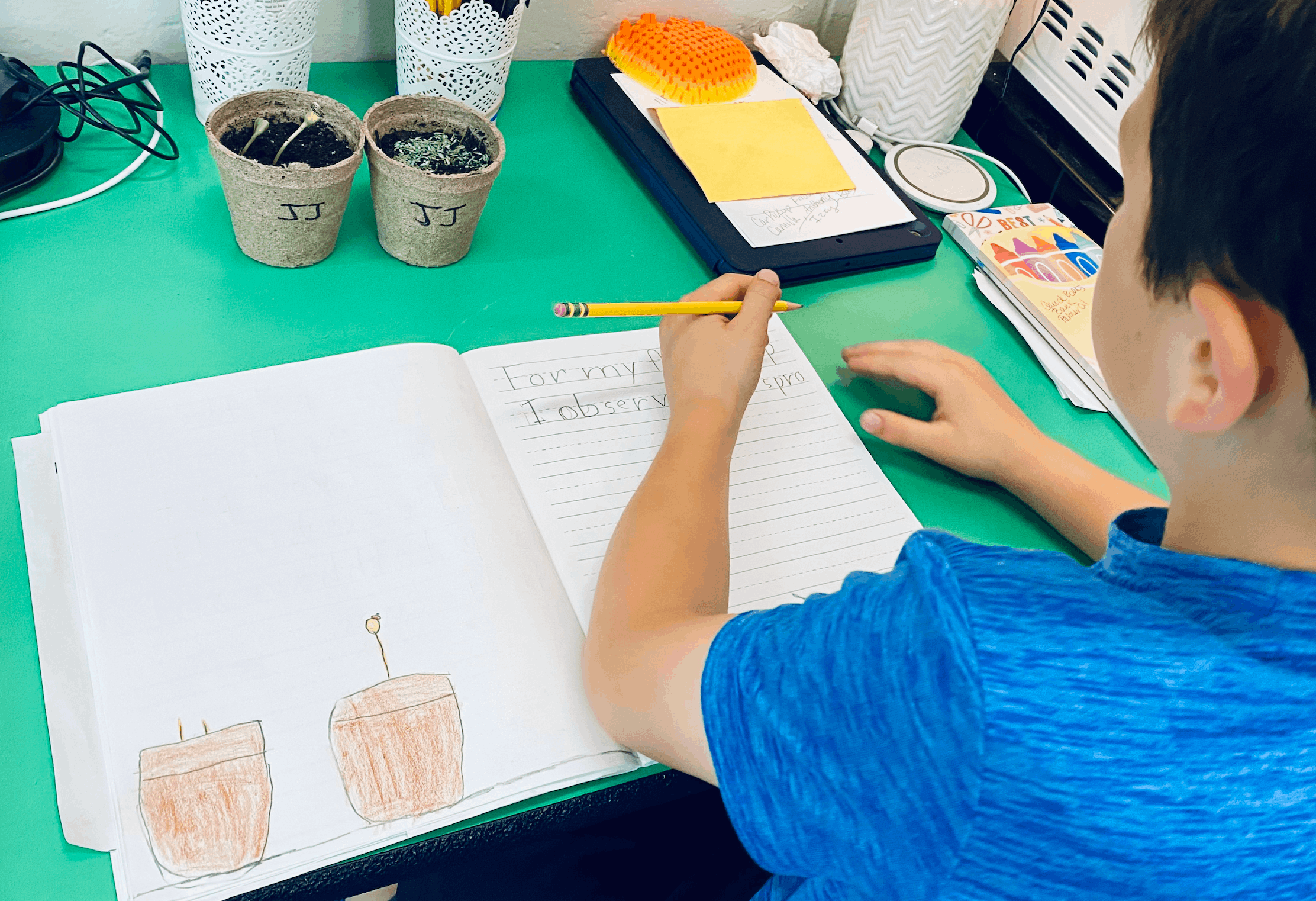 grade 2 science journals